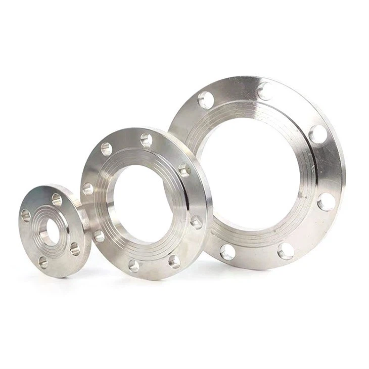PL RF FLANGE F316L6